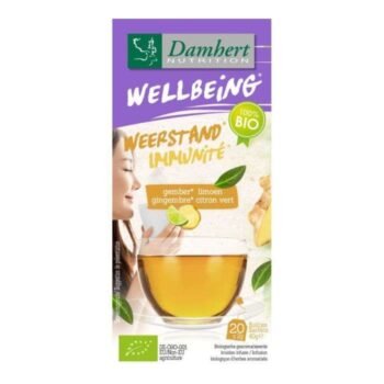 DAMHERT WELLBEING TEA TIME GINGEMBRE CITRON VERT B20 SACHETS