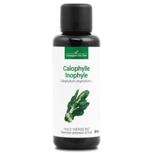 huile-vegetale-de-calophylle-inophyle-bio.jpg